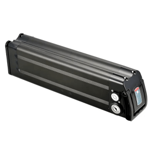 充電式48V 20Ah 1000W シルバーフィッシュリチウムバッテリーパック