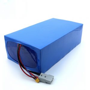 2022年の熱い販売高品質のリチウム イオン電池60v 30ahの超再充電可能なパックEUが付いている